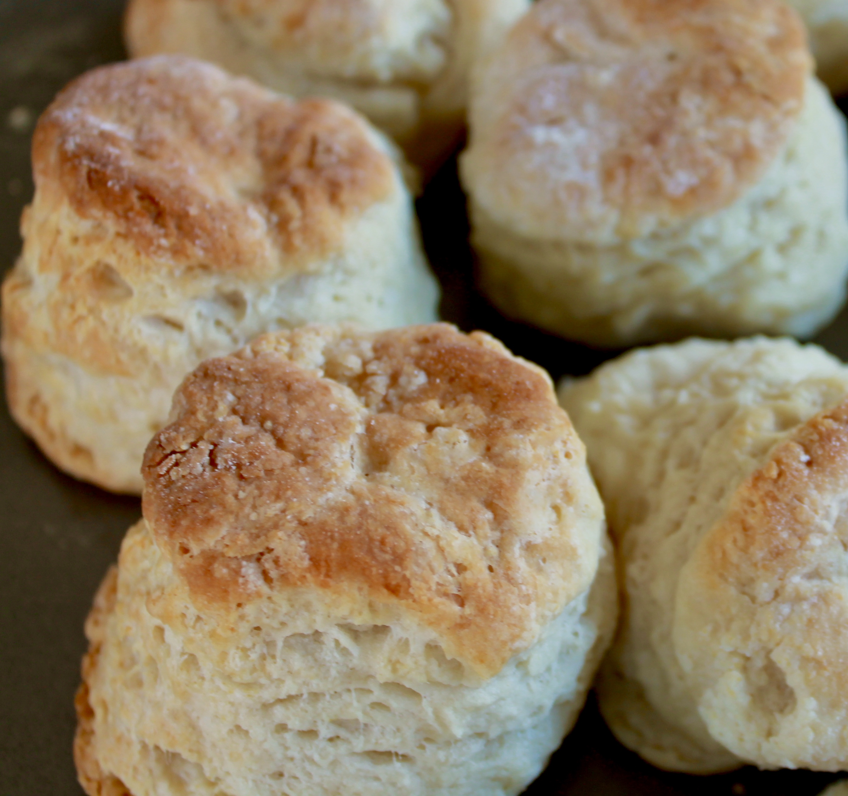 Southern Buttermilk Biscuits - How Did You Cook That